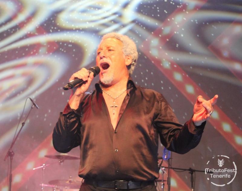 TRIBUTOFEST: Tom Jones 10.02.2024 - Auditorio Infanta Leonor