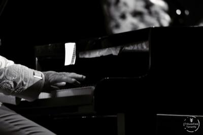 TRIBUTOFEST: Elton John 04.05.2024 - Auditorio Infanta Leonor